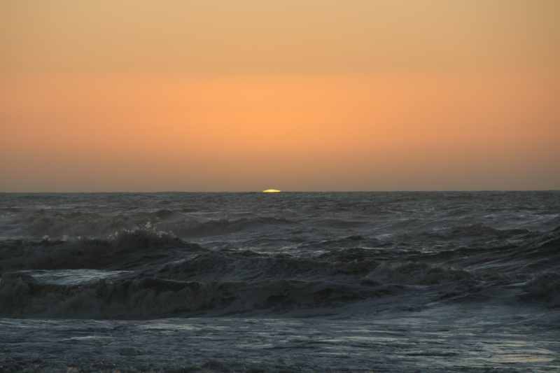 Nieuw-Zeeland 2011 - 1386